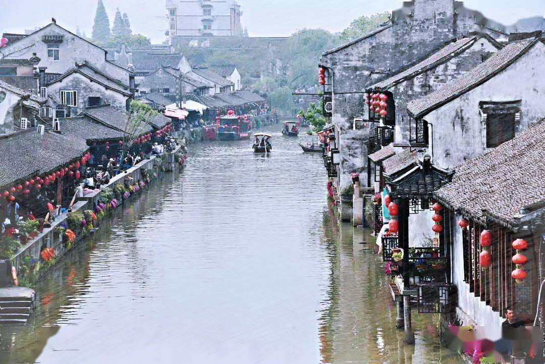 逃出茂密的丛林